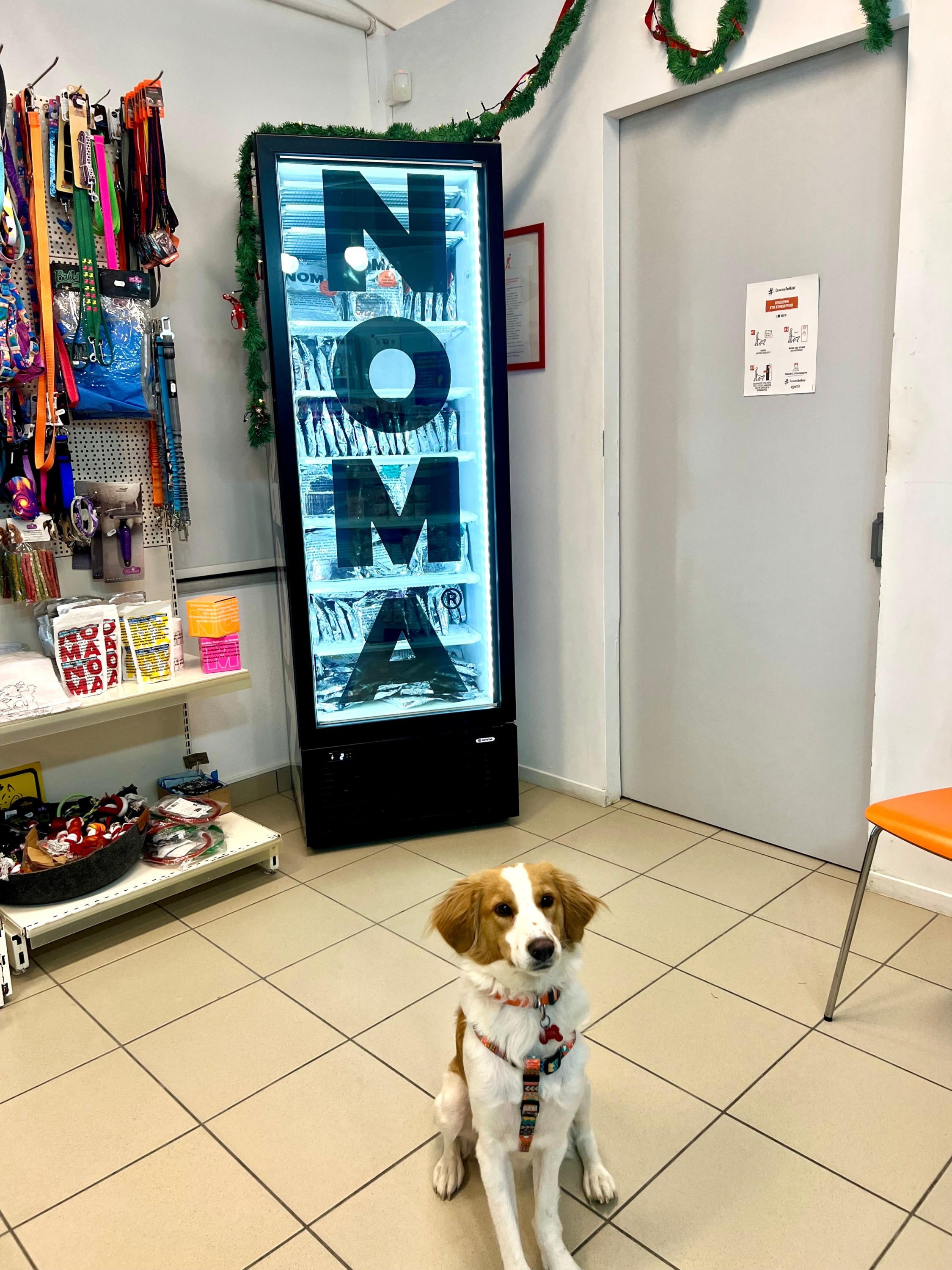 https://www.fepvet.gr/Pet-Corner/