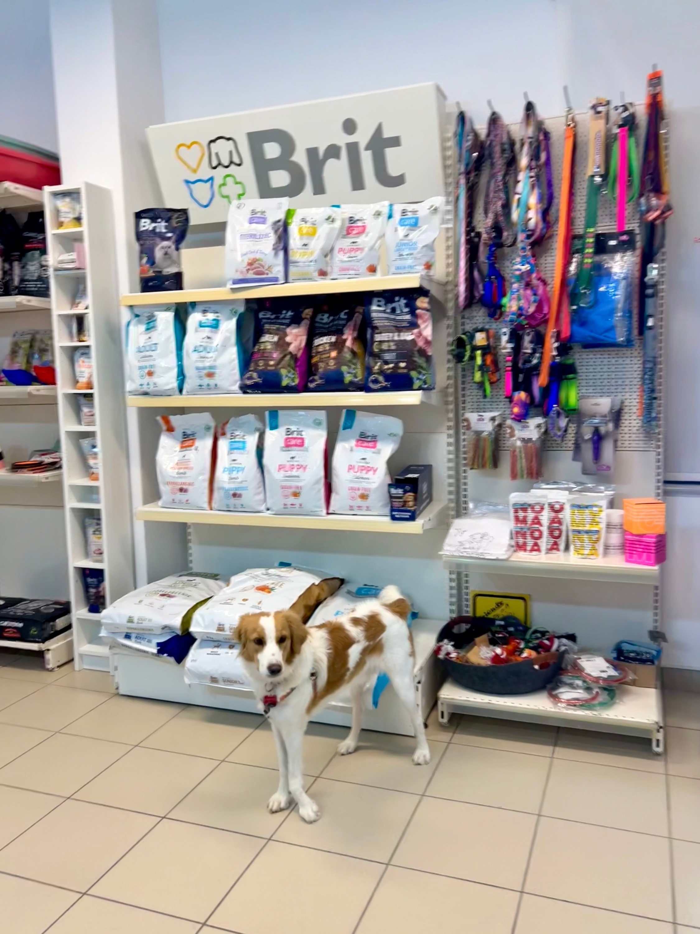 https://www.fepvet.gr/Pet-Corner/